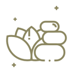 CIENCIA & NATURALEZA